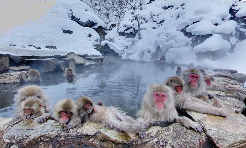 KOBE - OSAKA - KYOTO - PHÚ SỸ - TOKYO - NARITA